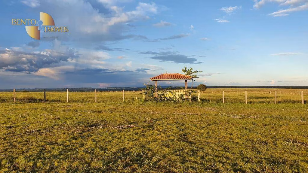 Fazenda de 6.000 ha em Primavera do Leste, MT