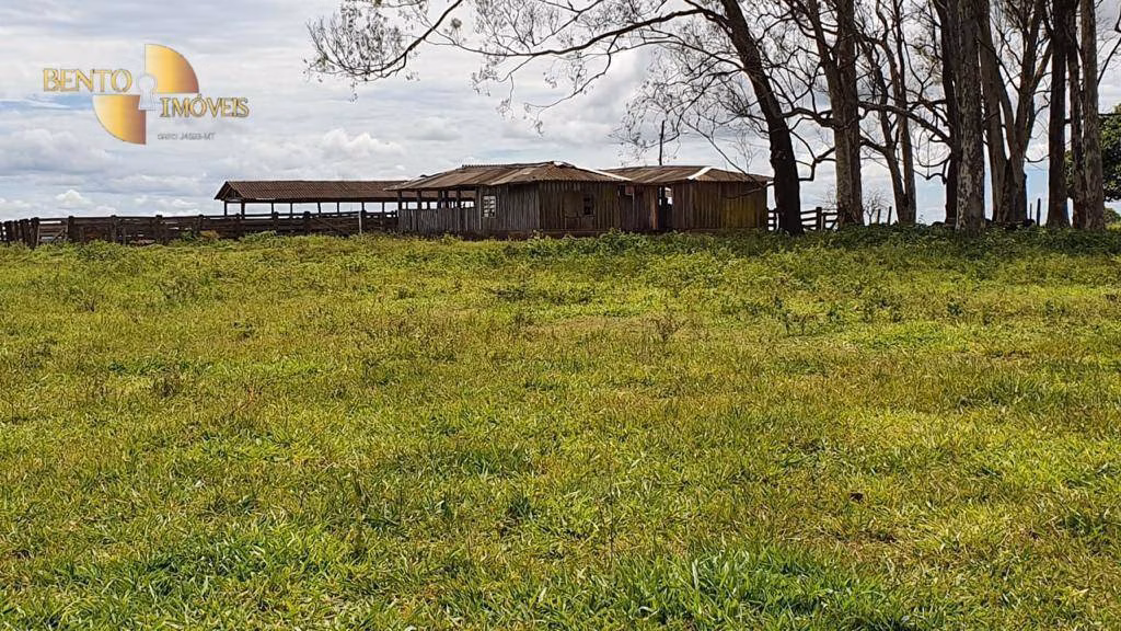 Fazenda de 6.000 ha em Primavera do Leste, MT