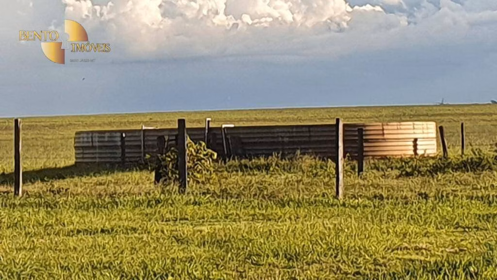 Fazenda de 6.000 ha em Primavera do Leste, MT