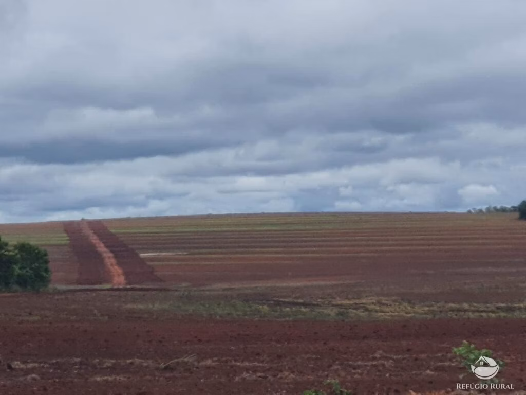 Fazenda de 2.000 ha em Palmeiras do Tocantins, TO