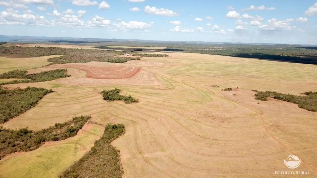Fazenda de 2.000 ha em Palmeiras do Tocantins, TO