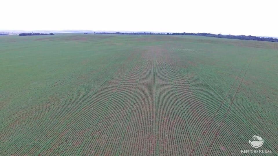Fazenda de 2.000 ha em Palmeiras do Tocantins, TO