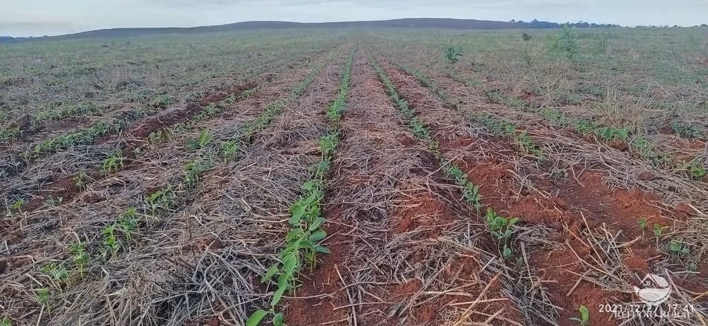 Fazenda de 2.000 ha em Palmeiras do Tocantins, TO