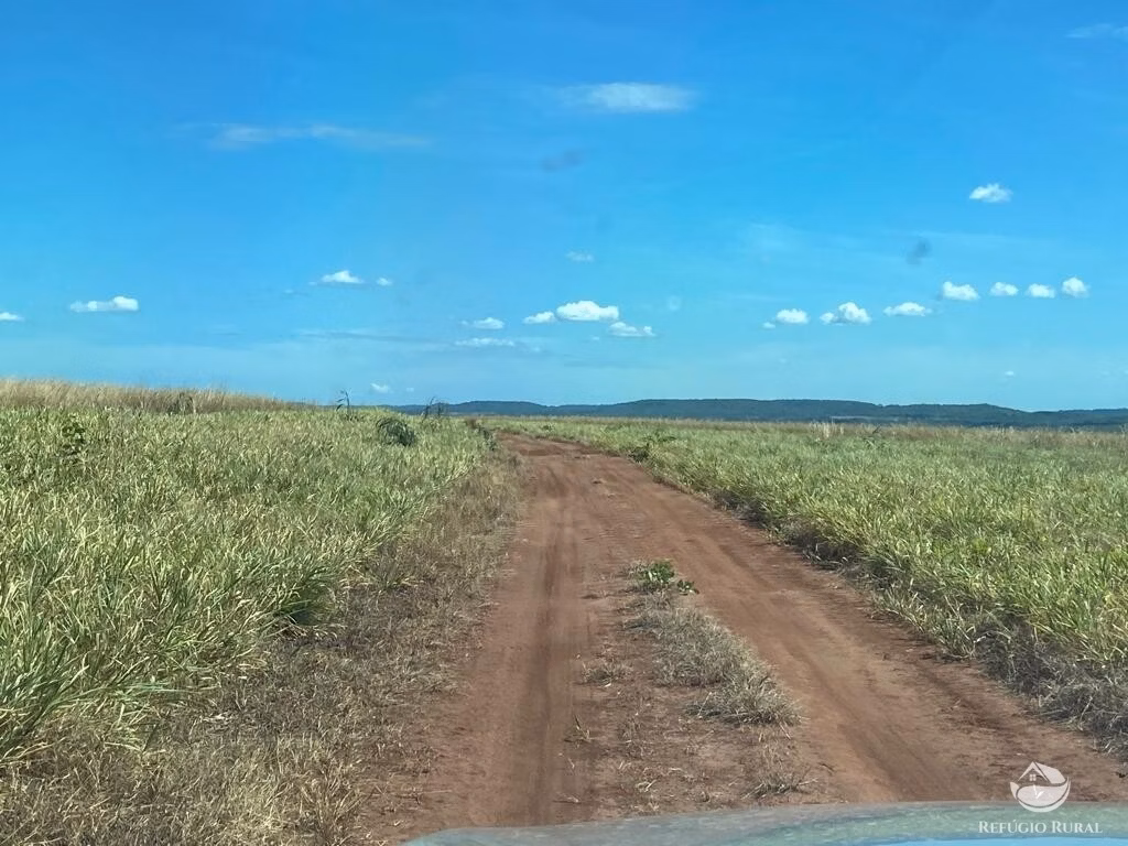 Fazenda de 2.000 ha em Palmeiras do Tocantins, TO