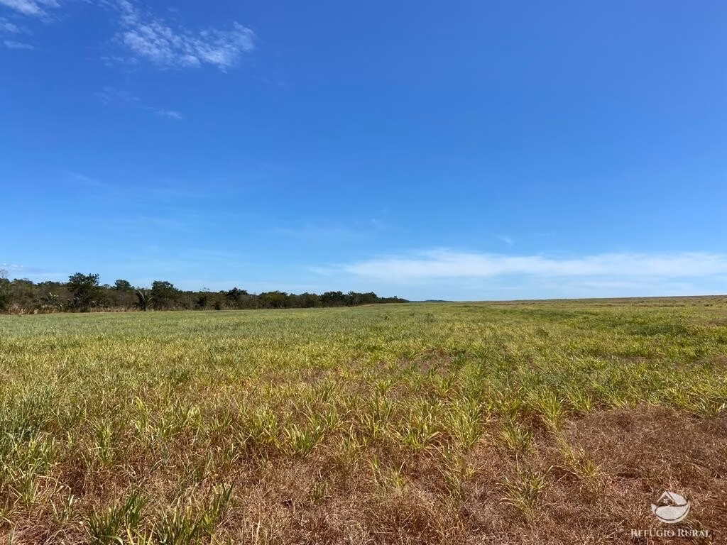 Fazenda de 2.000 ha em Palmeiras do Tocantins, TO