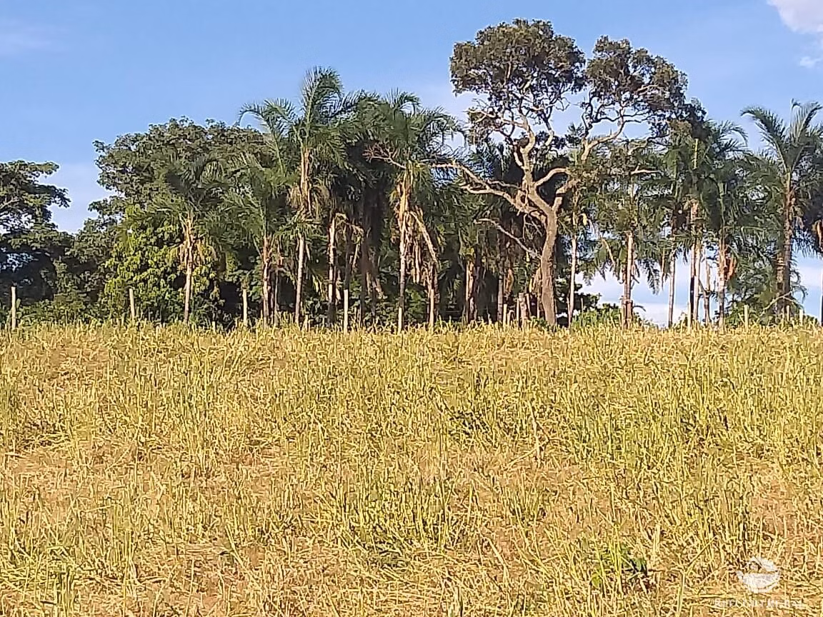 Sítio de 17 ha em Frutal, MG