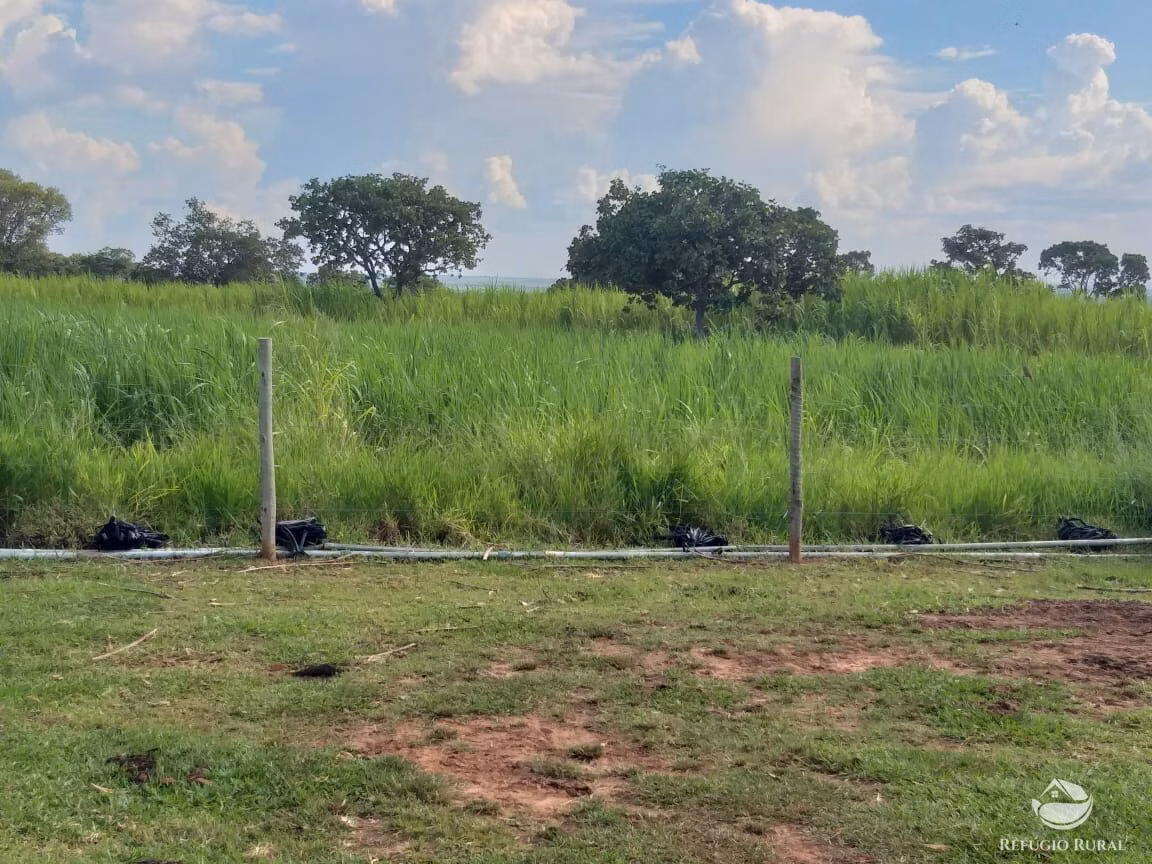 Sítio de 17 ha em Frutal, MG