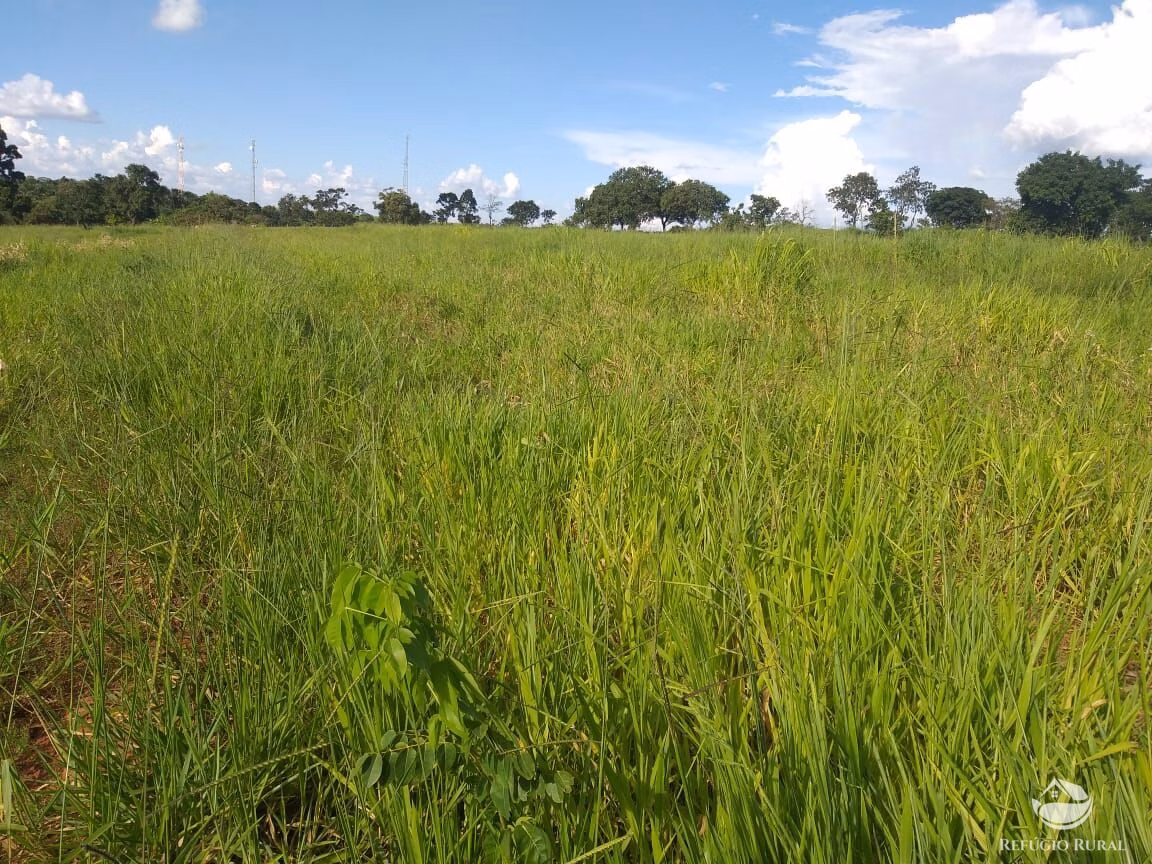 Small farm of 42 acres in Frutal, MG, Brazil