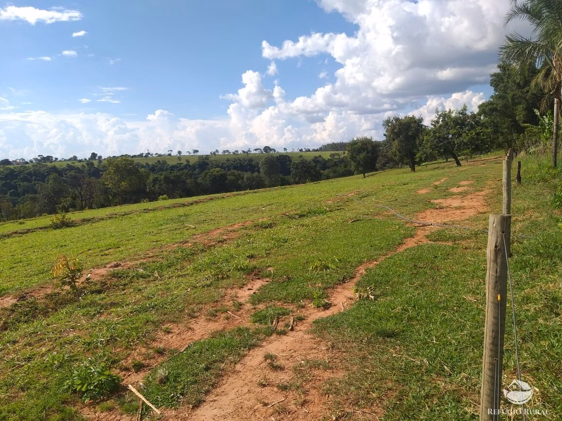 Sítio de 17 ha em Frutal, MG