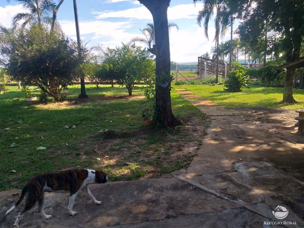 Sítio de 17 ha em Frutal, MG
