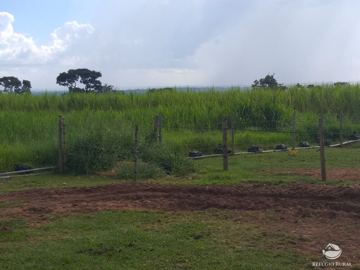 Sítio de 17 ha em Frutal, MG