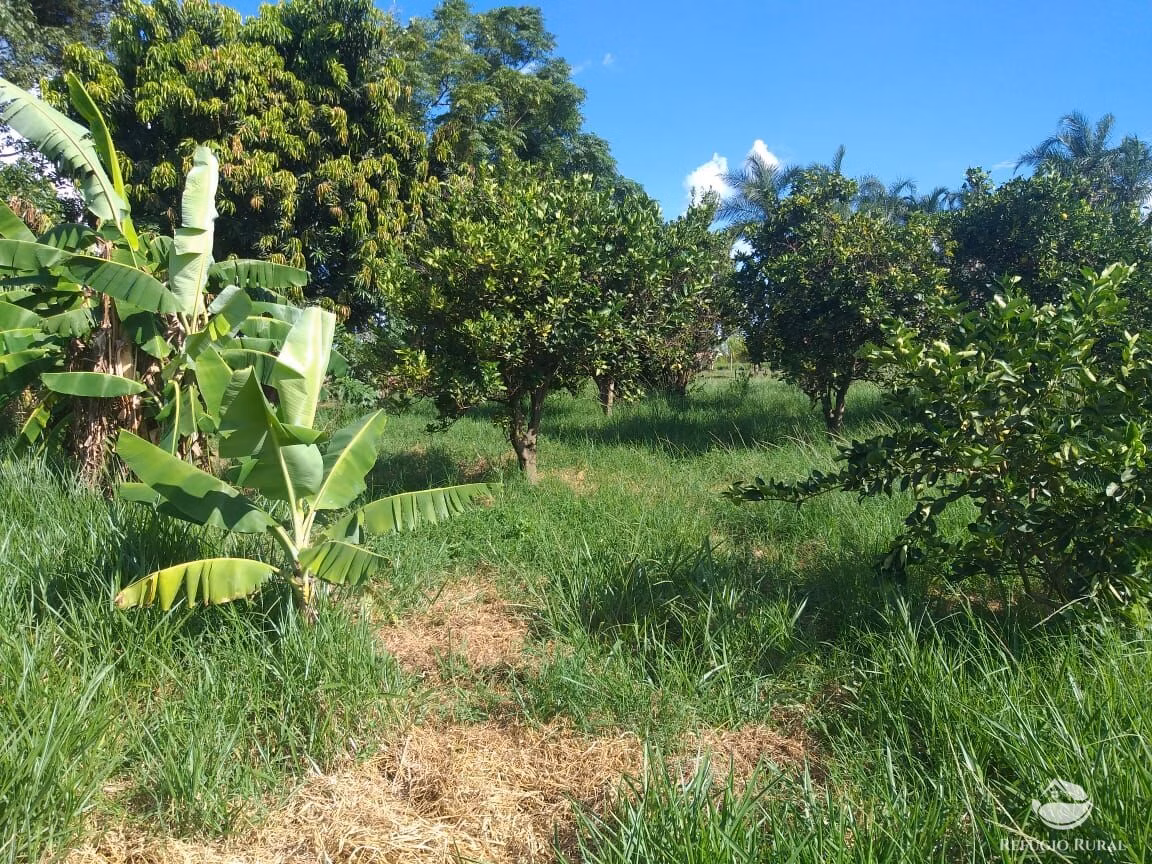 Sítio de 17 ha em Frutal, MG