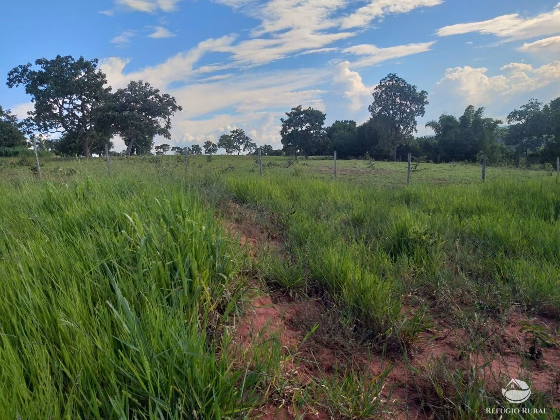 Small farm of 42 acres in Frutal, MG, Brazil
