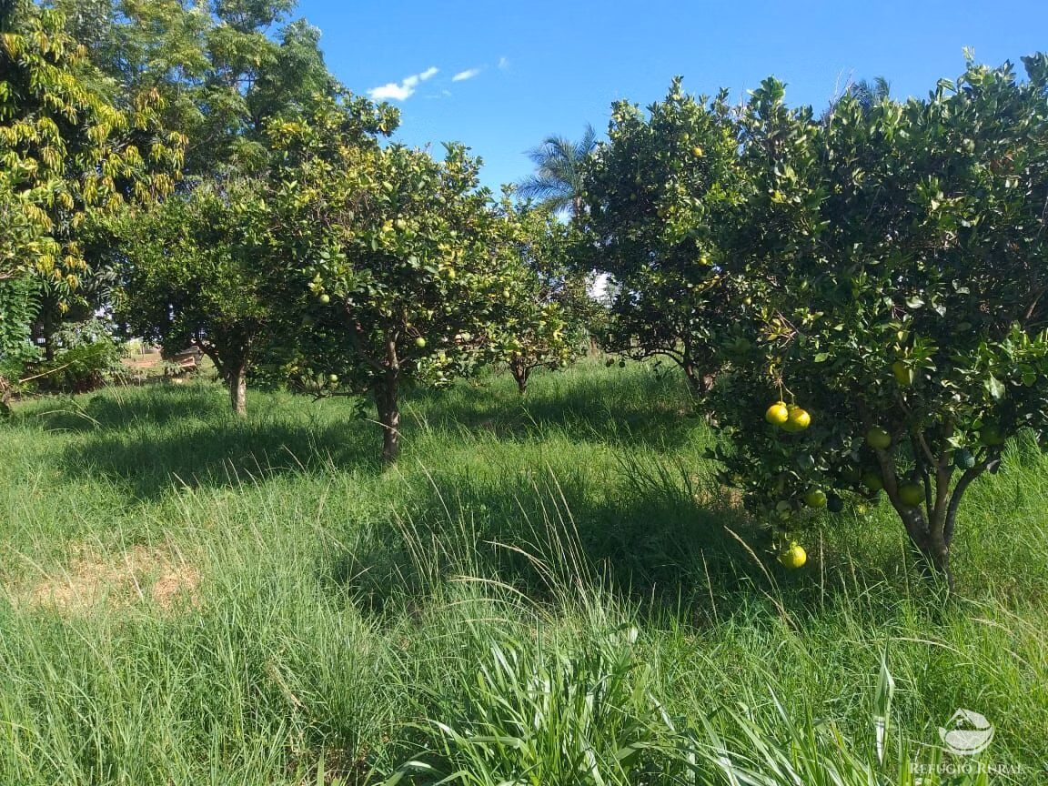 Sítio de 17 ha em Frutal, MG