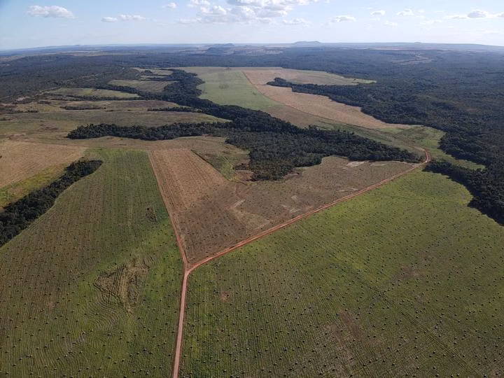 Fazenda de 1.827 ha em Juquiá, SP