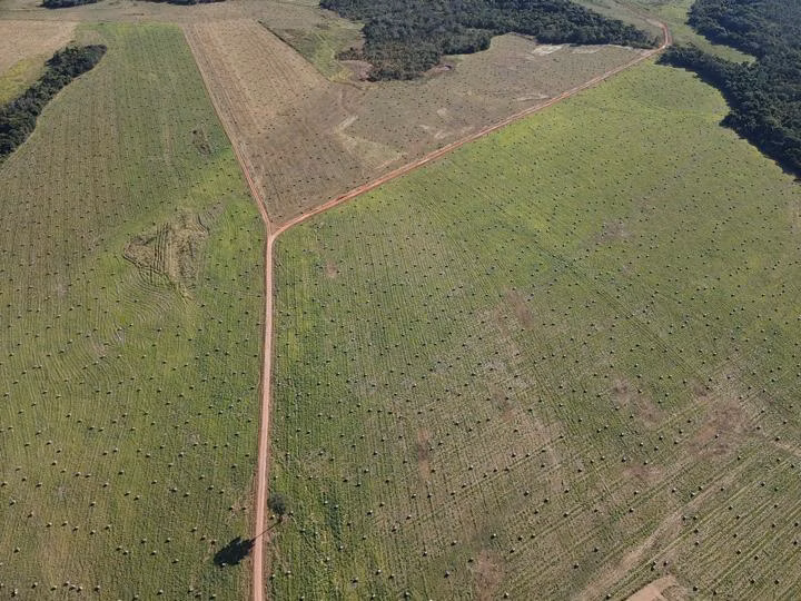 Fazenda de 1.827 ha em Juquiá, SP