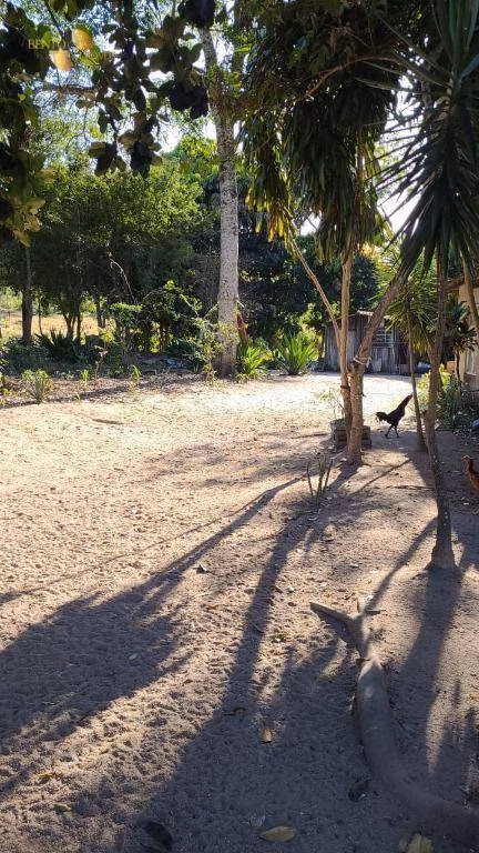 Fazenda de 400 ha em Santo Antônio de Leverger, MT