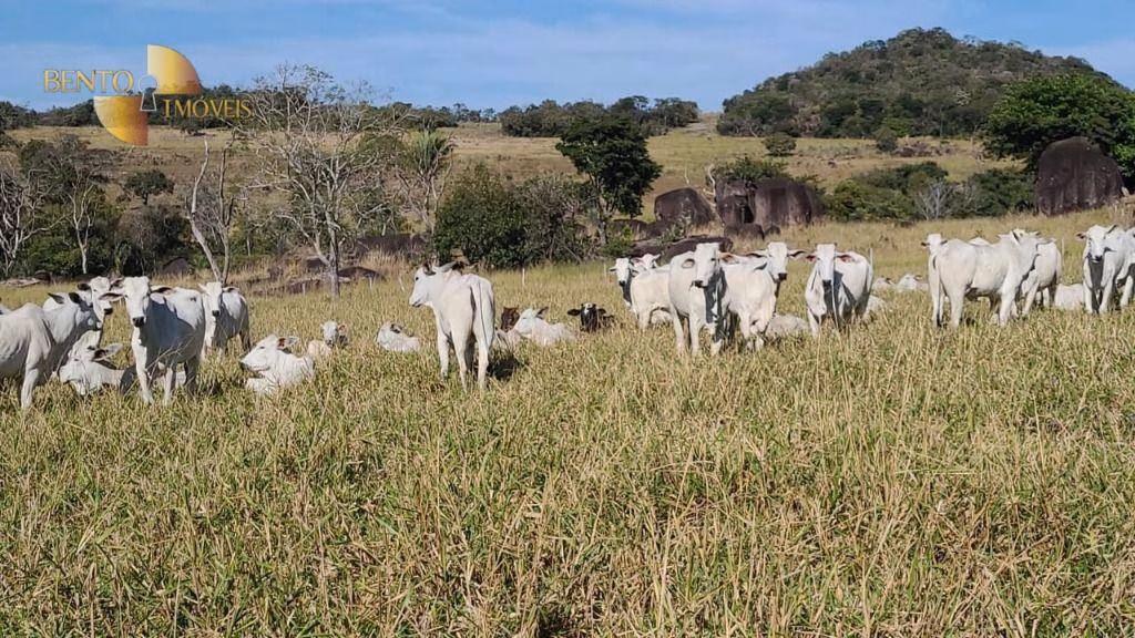 Fazenda de 400 ha em Santo Antônio de Leverger, MT
