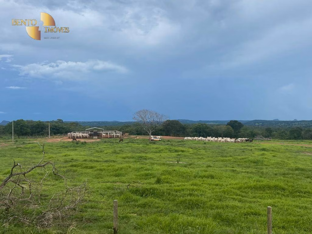 Fazenda de 2.500 ha em Guiratinga, MT