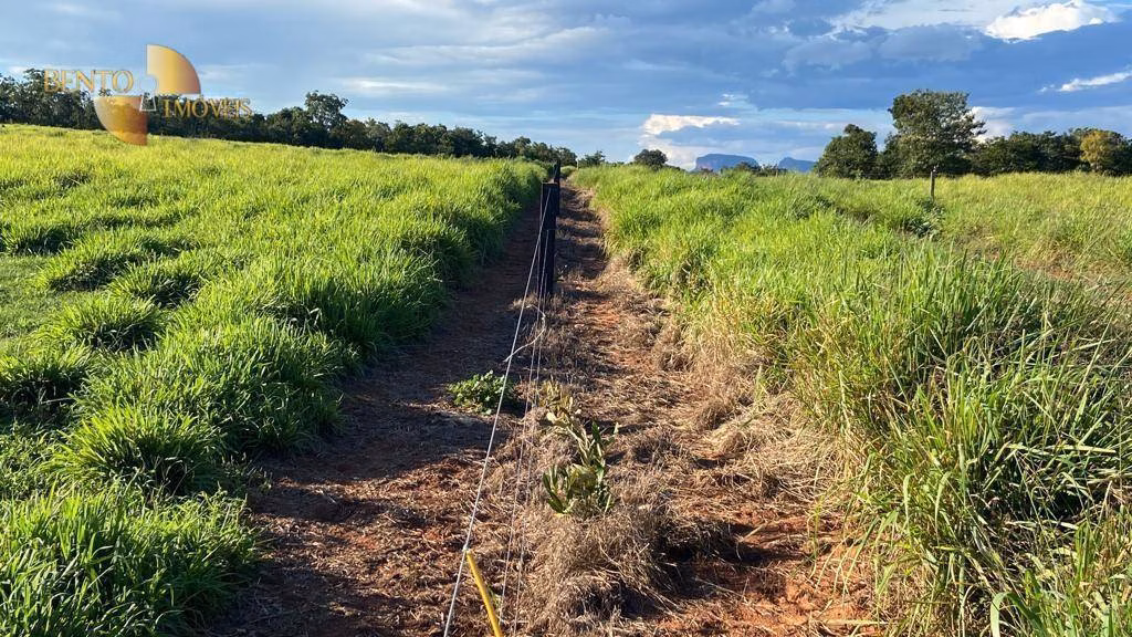 Fazenda de 2.500 ha em Guiratinga, MT