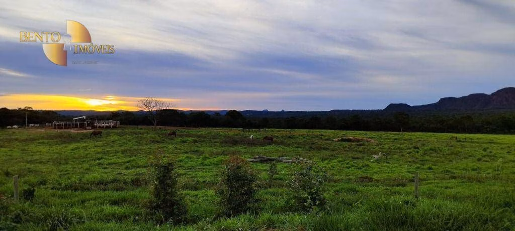 Fazenda de 2.500 ha em Guiratinga, MT