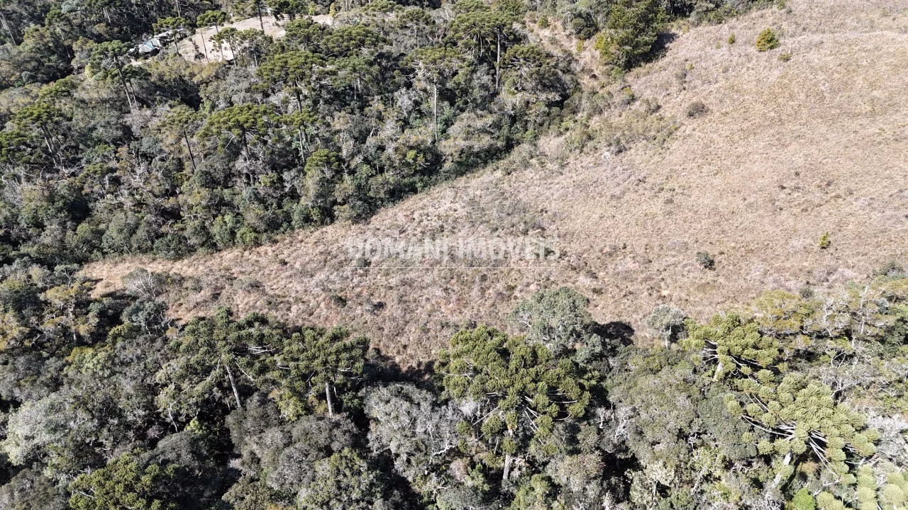 Terreno de 4 ha em Campos do Jordão, SP