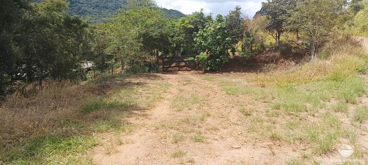 Sítio de 13 ha em Tamarana, PR