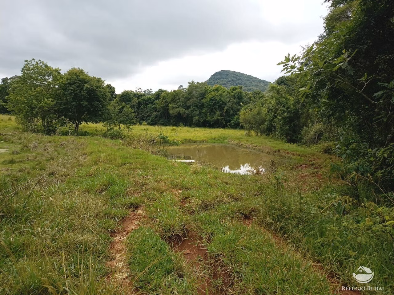 Sítio de 13 ha em Tamarana, PR