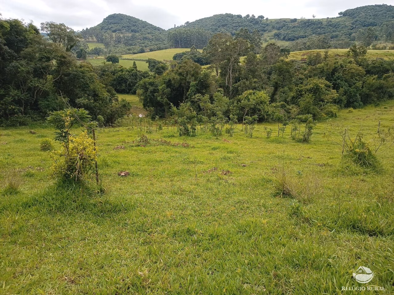 Sítio de 13 ha em Tamarana, PR