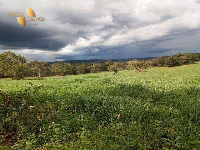 Fazenda de 407 ha em Dom Aquino, MT