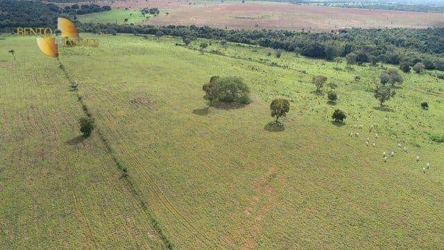 Fazenda de 407 ha em Dom Aquino, MT
