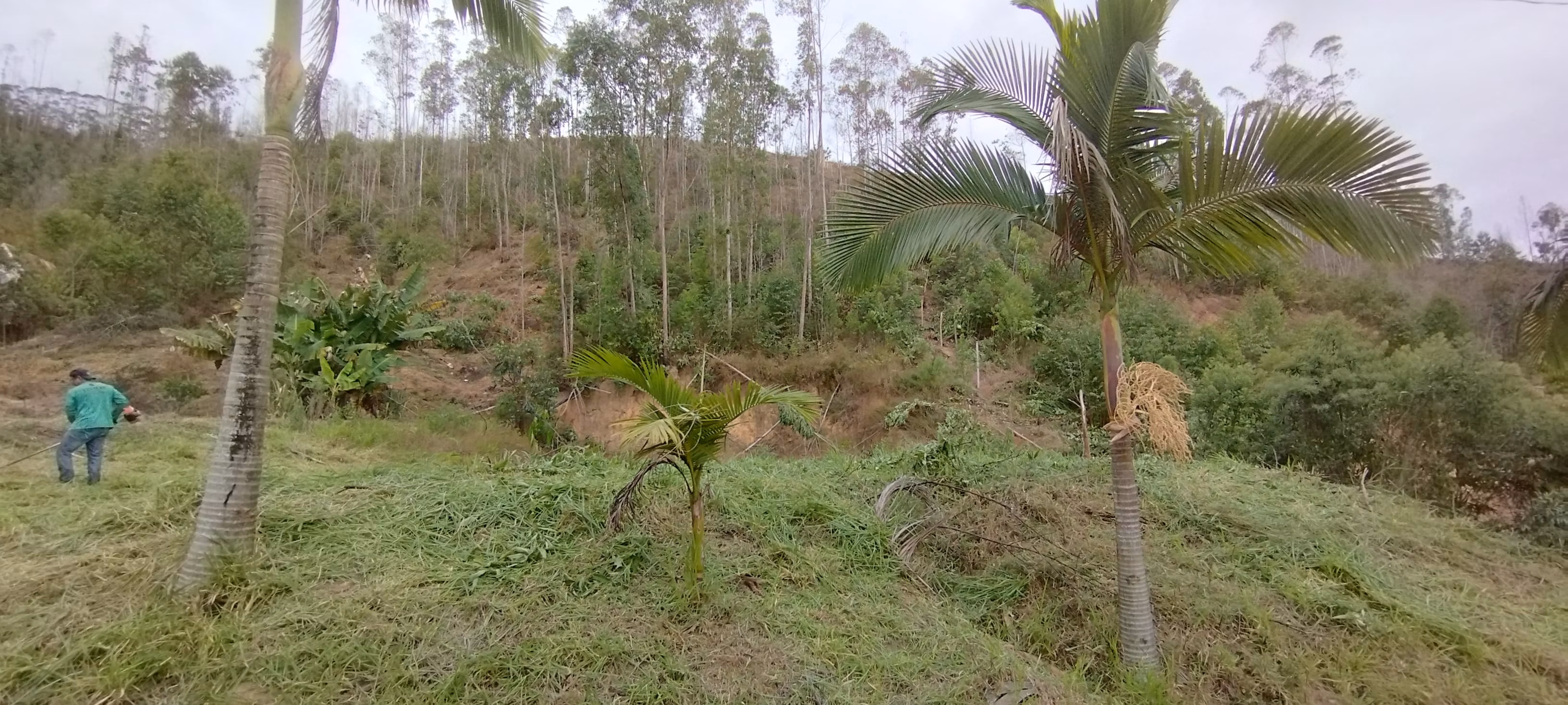 Terreno de 3.000 m² em Domingos Martins, ES