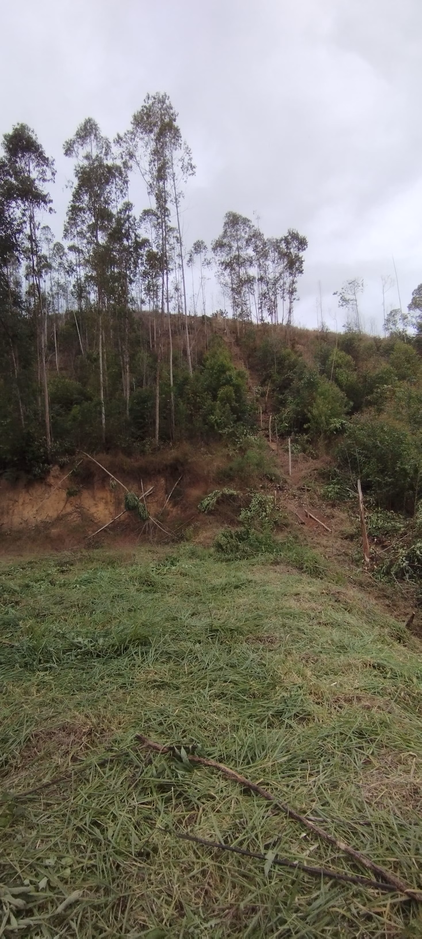 Terreno de 3.000 m² em Domingos Martins, ES
