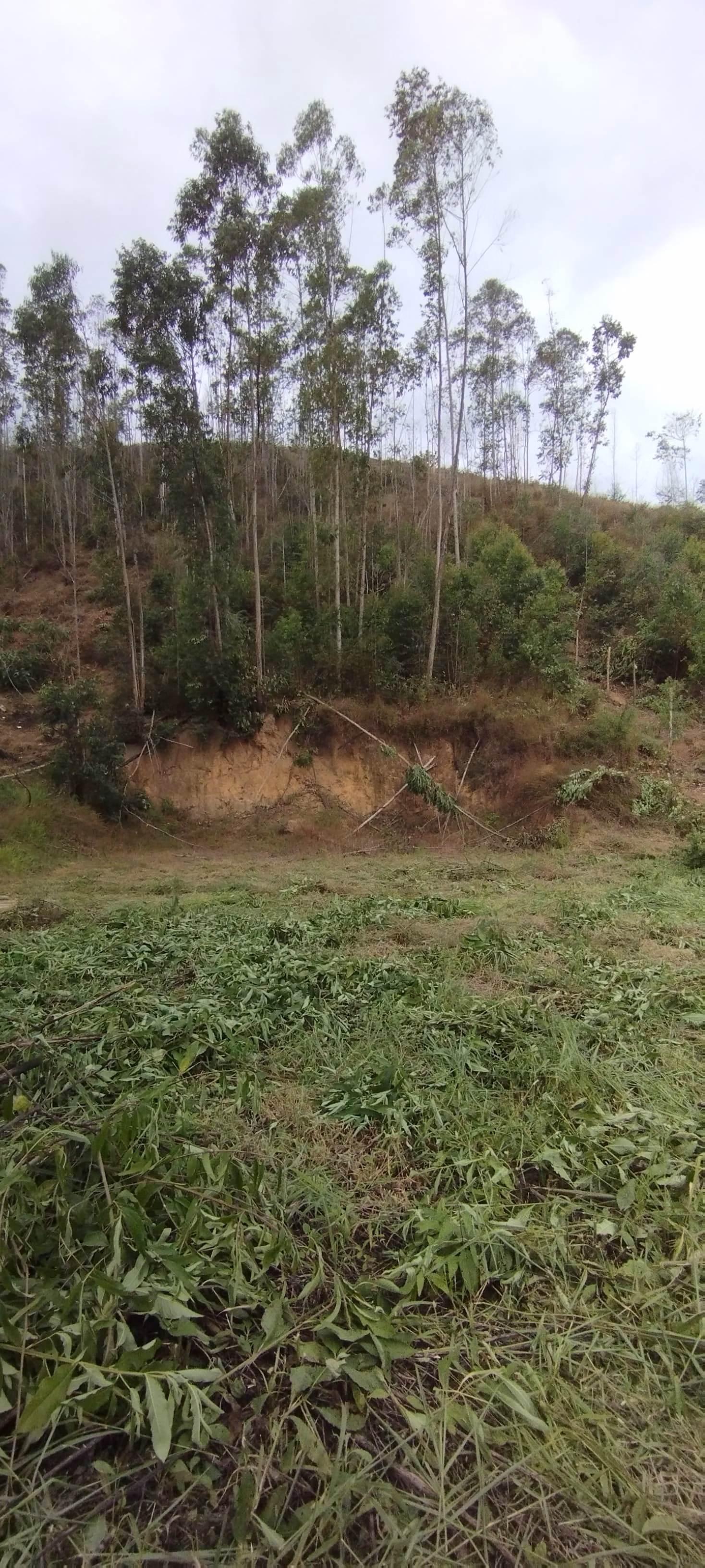 Terreno de 3.000 m² em Domingos Martins, ES