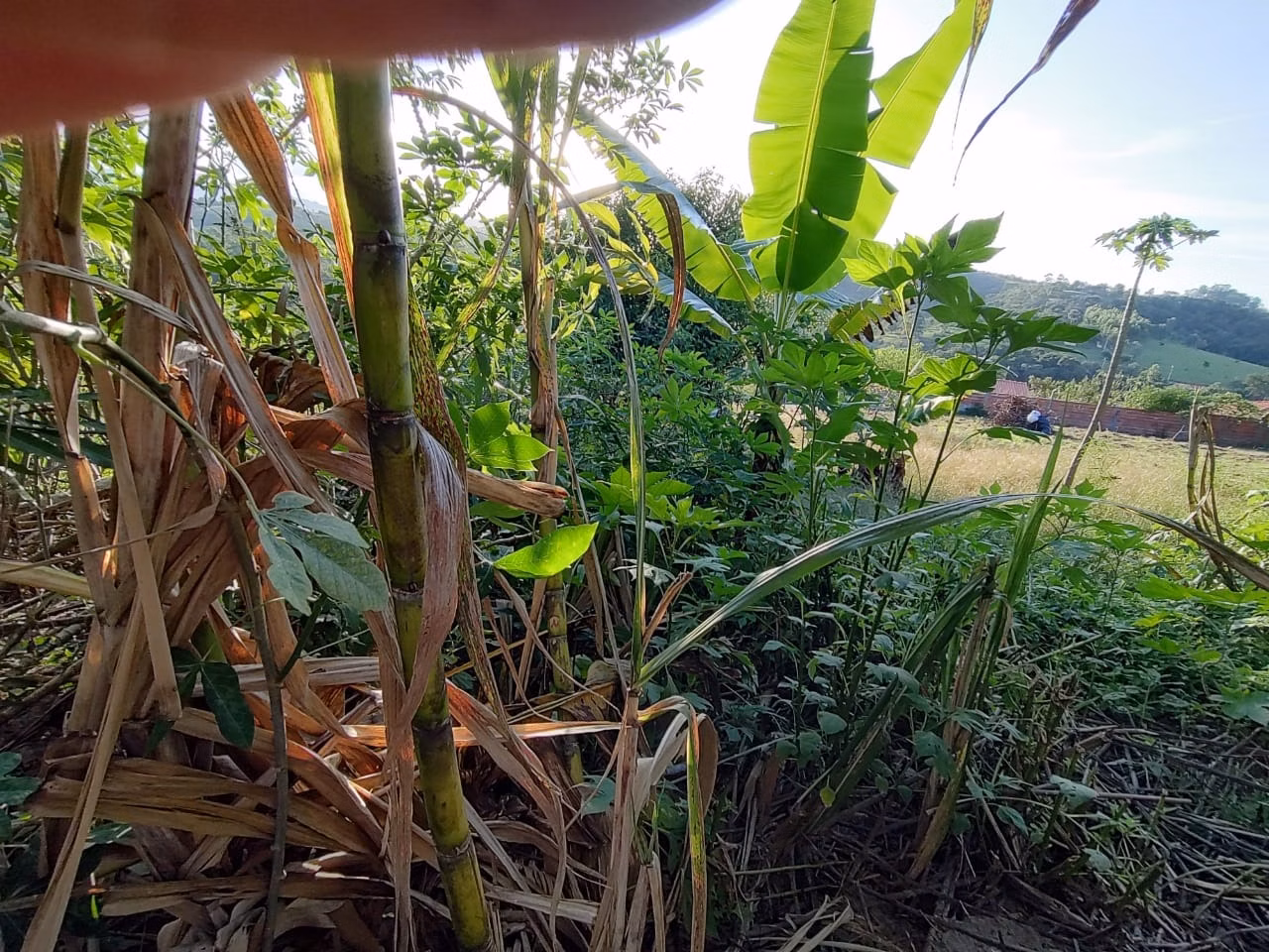 Country home of 4 acres in Bofete, SP, Brazil