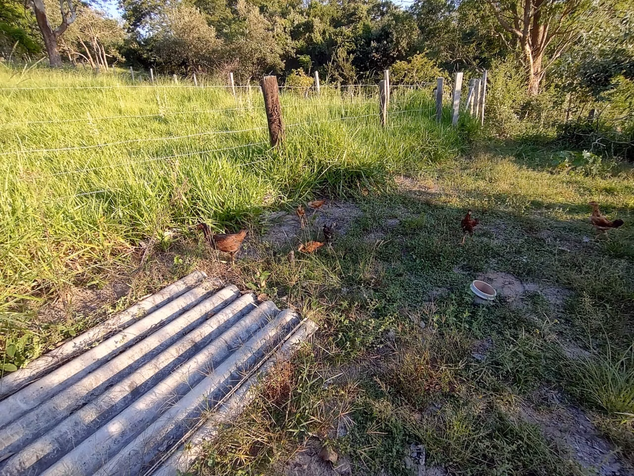 Country home of 4 acres in Bofete, SP, Brazil