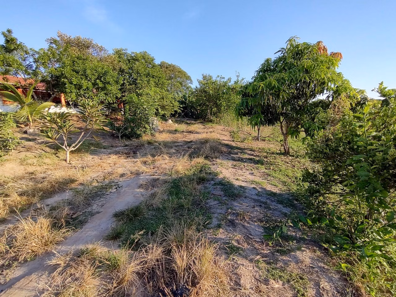 Country home of 4 acres in Bofete, SP, Brazil