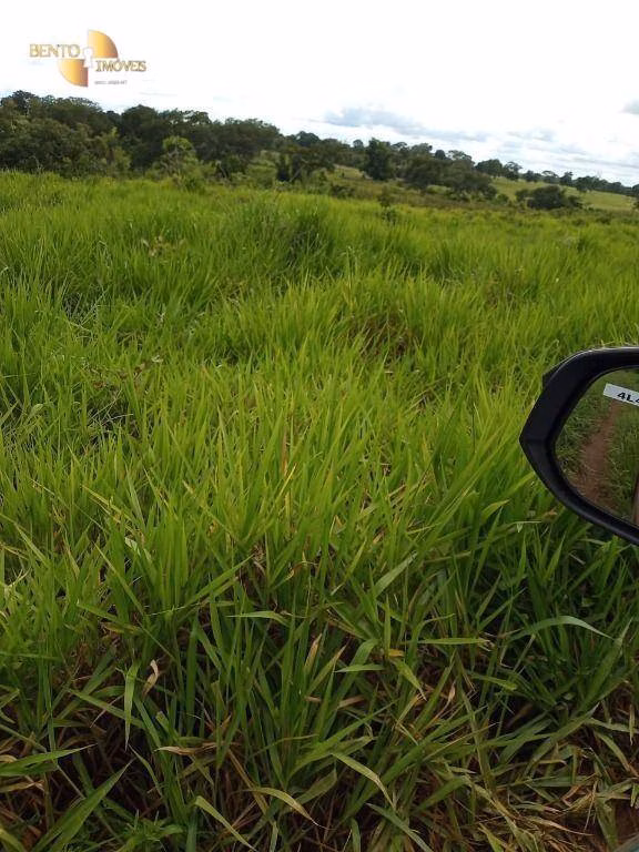 Fazenda de 100 ha em Poconé, MT