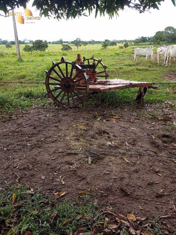 Fazenda de 100 ha em Poconé, MT