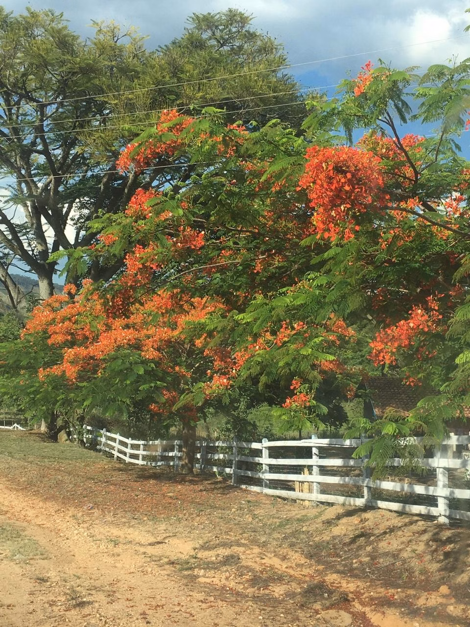 Sítio de 48 ha em Jacutinga, MG
