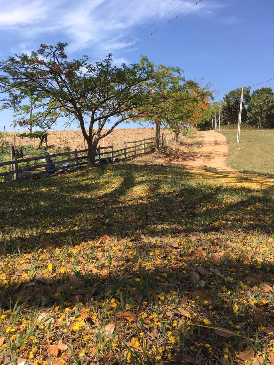 Sítio de 48 ha em Jacutinga, MG