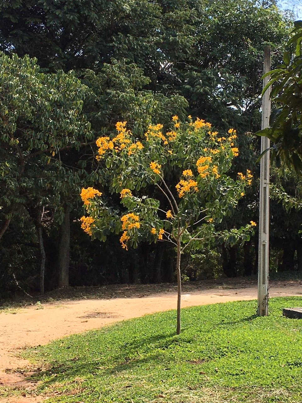 Sítio de 48 ha em Jacutinga, MG