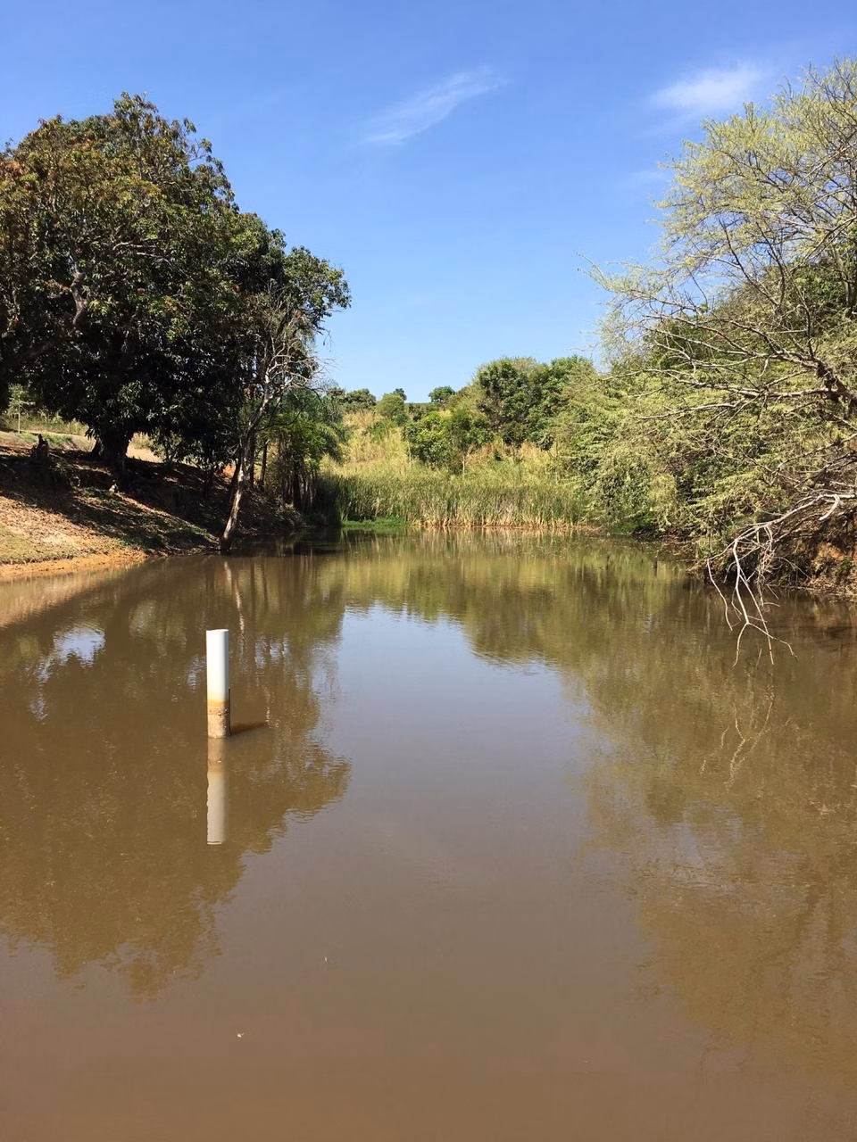 Sítio de 48 ha em Jacutinga, MG