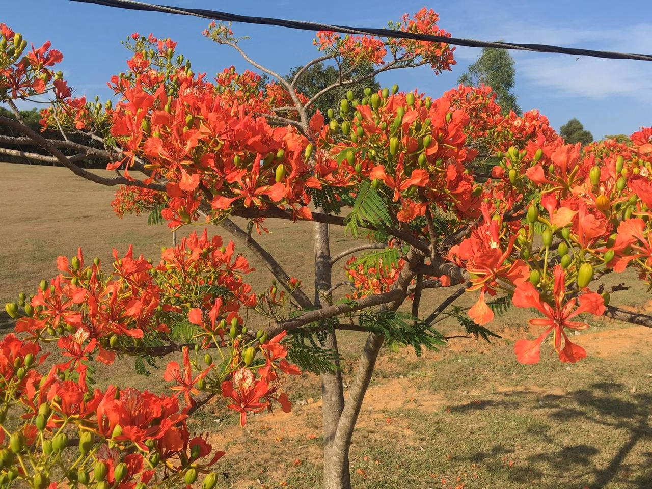 Sítio de 48 ha em Jacutinga, MG