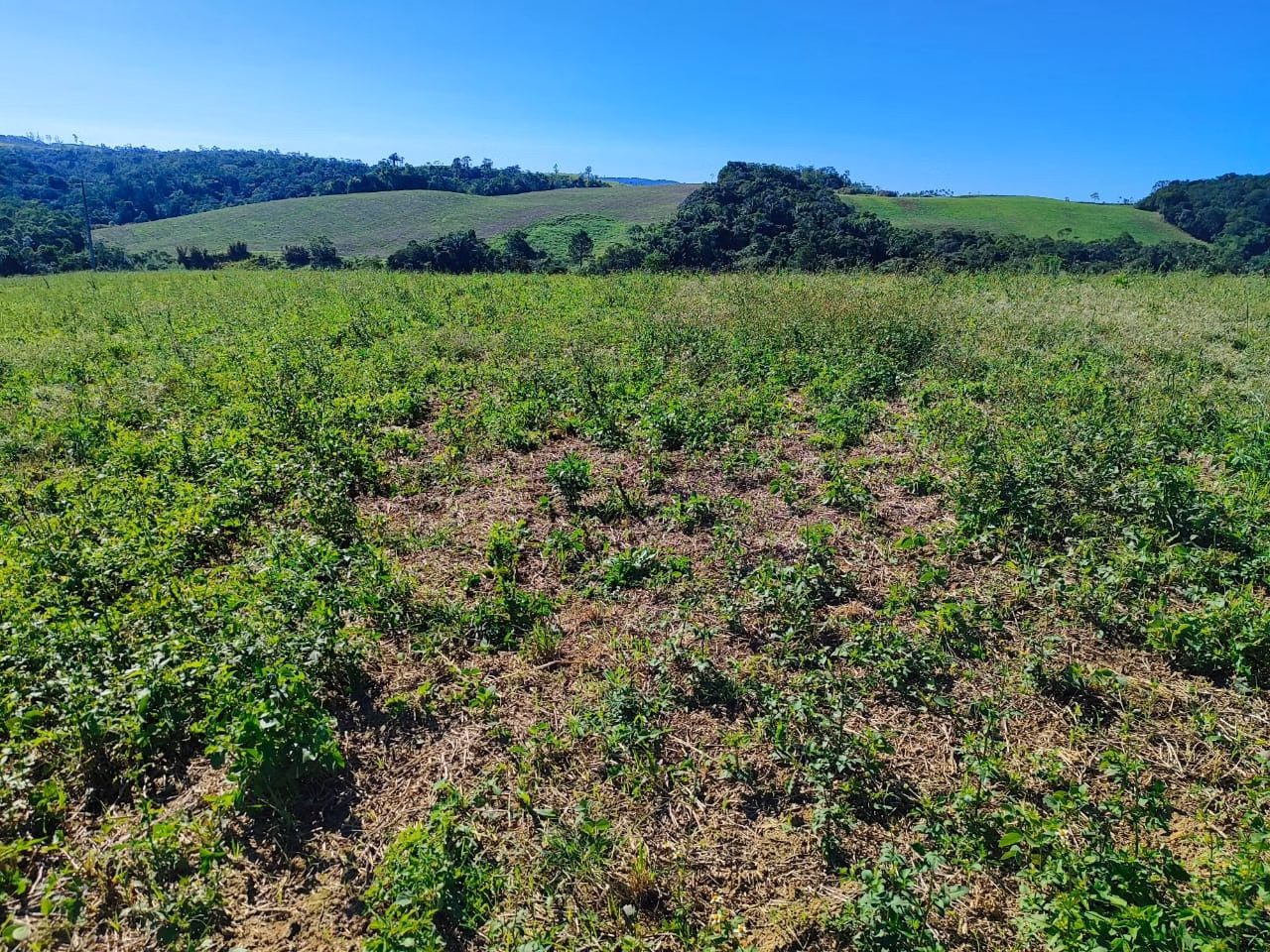 Fazenda de 121 ha em São Miguel Arcanjo, SP