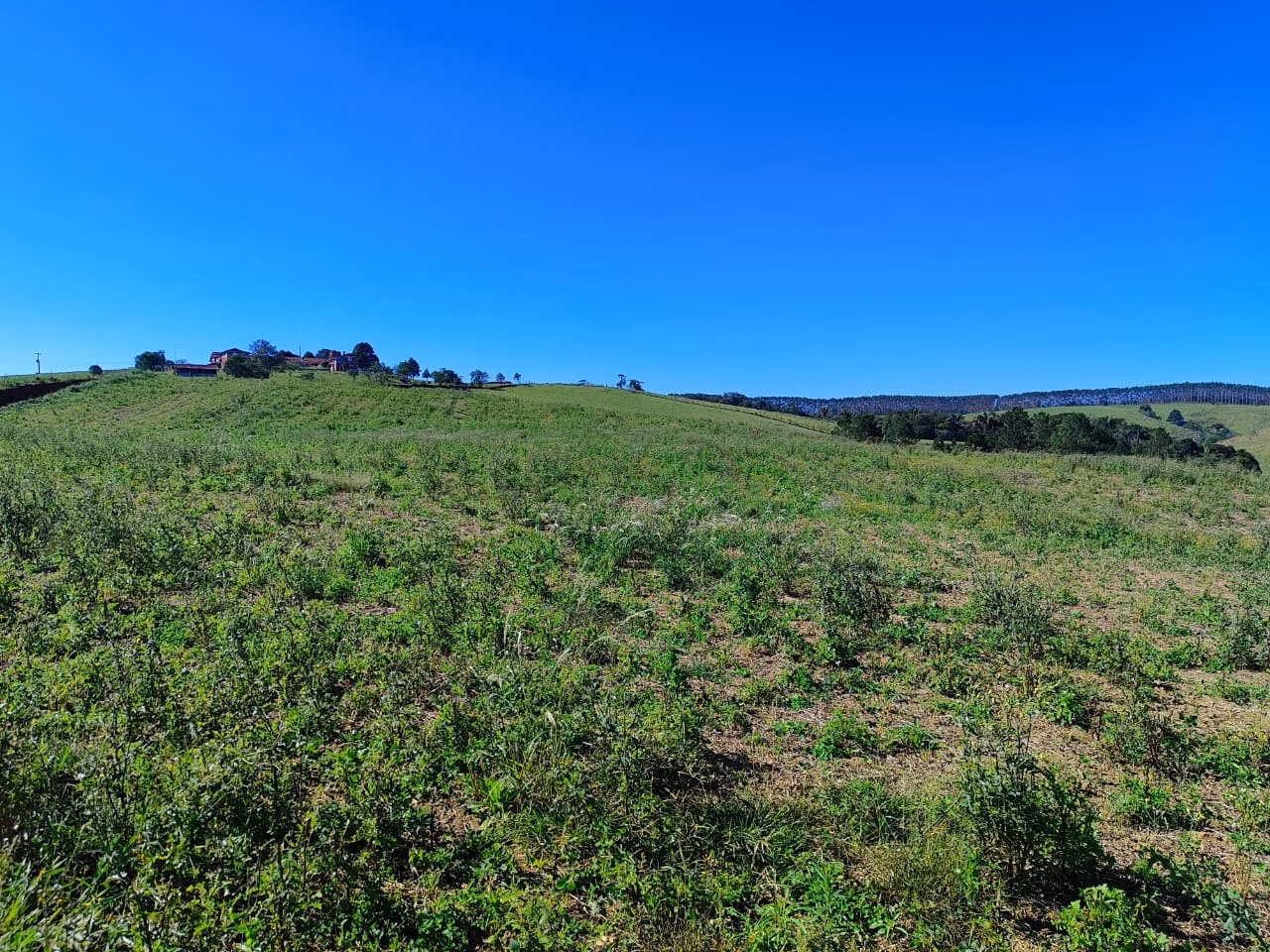 Fazenda de 121 ha em São Miguel Arcanjo, SP
