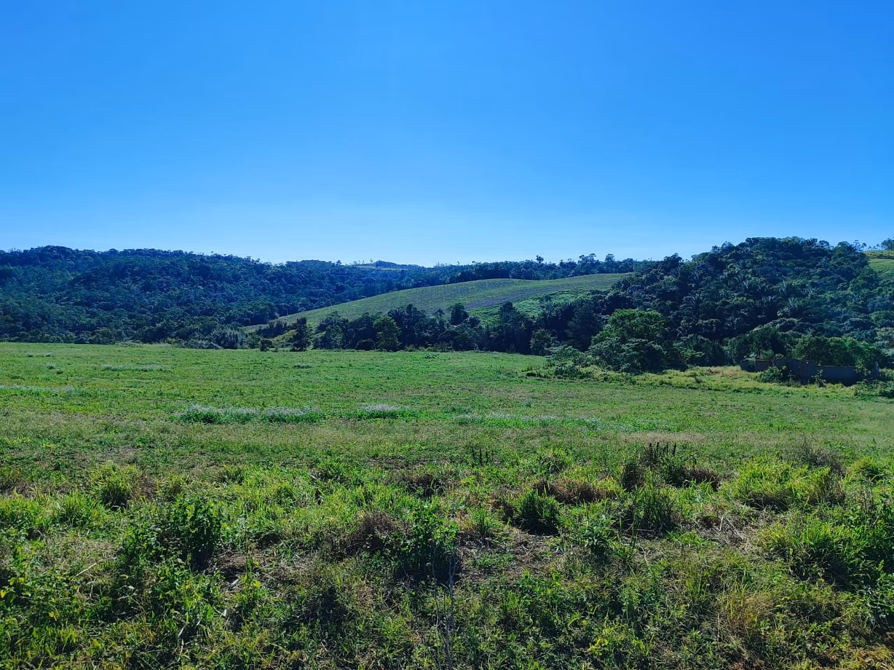 Fazenda de 121 ha em São Miguel Arcanjo, SP