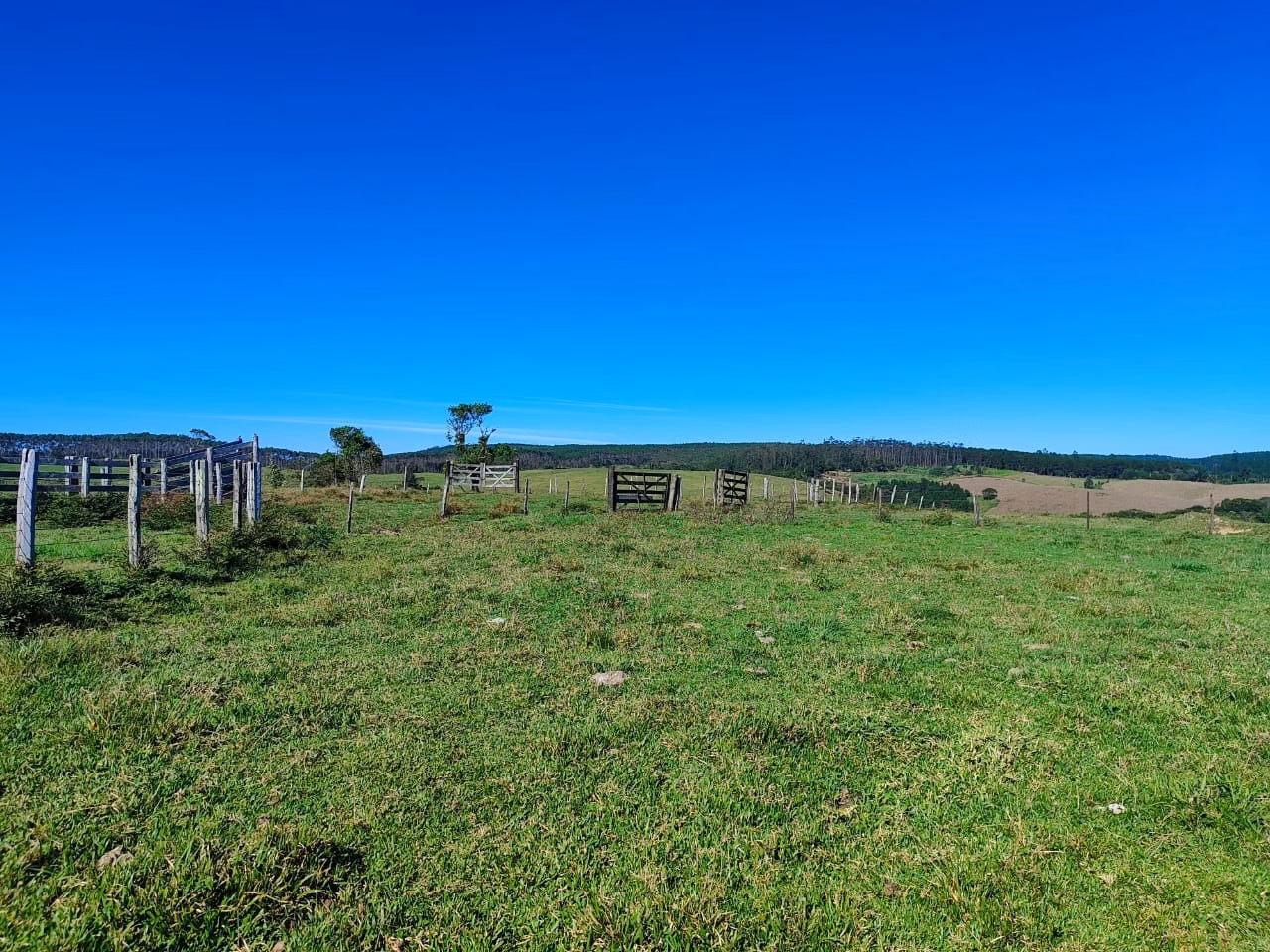 Fazenda de 121 ha em São Miguel Arcanjo, SP