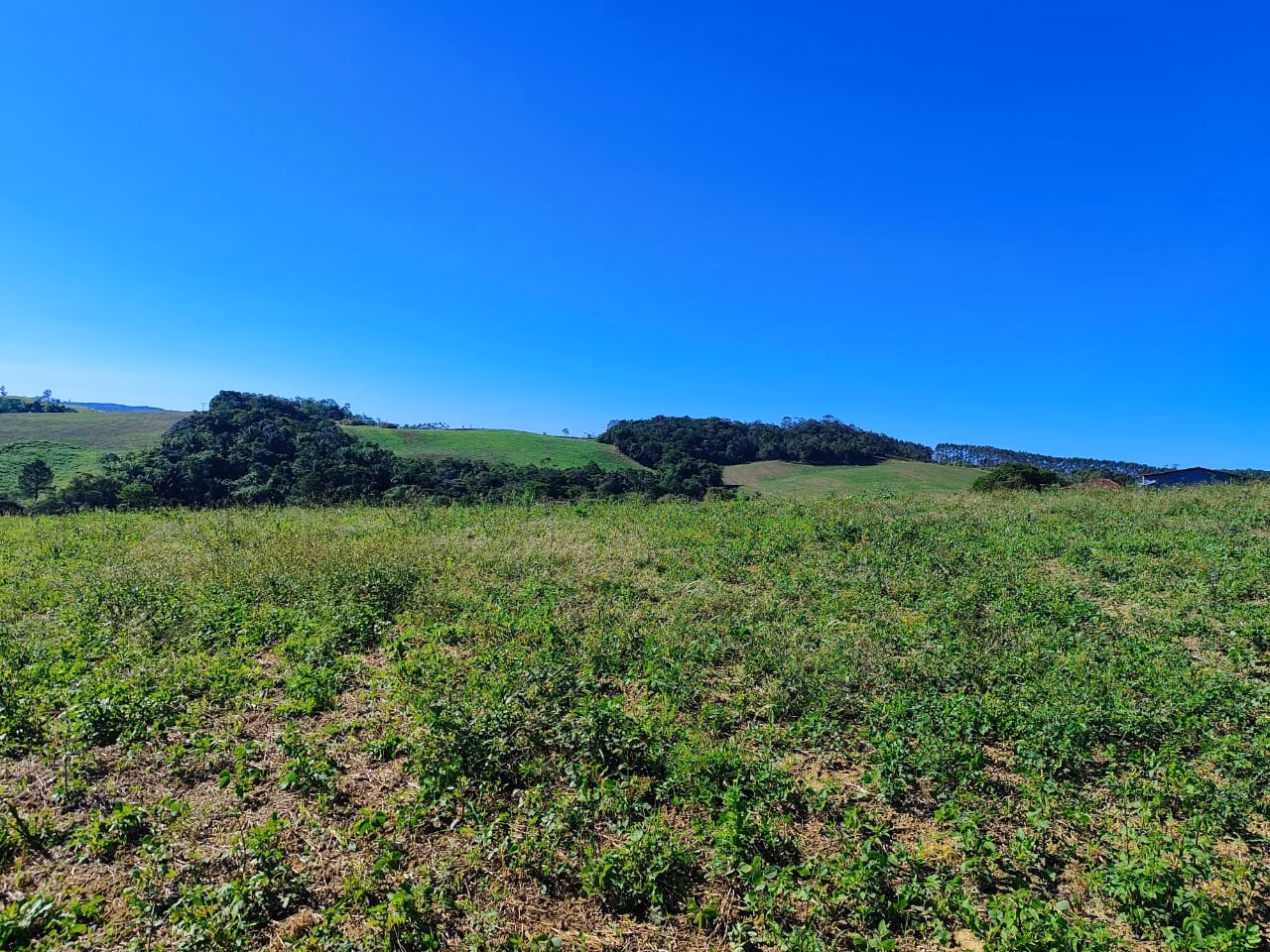 Fazenda de 121 ha em São Miguel Arcanjo, SP