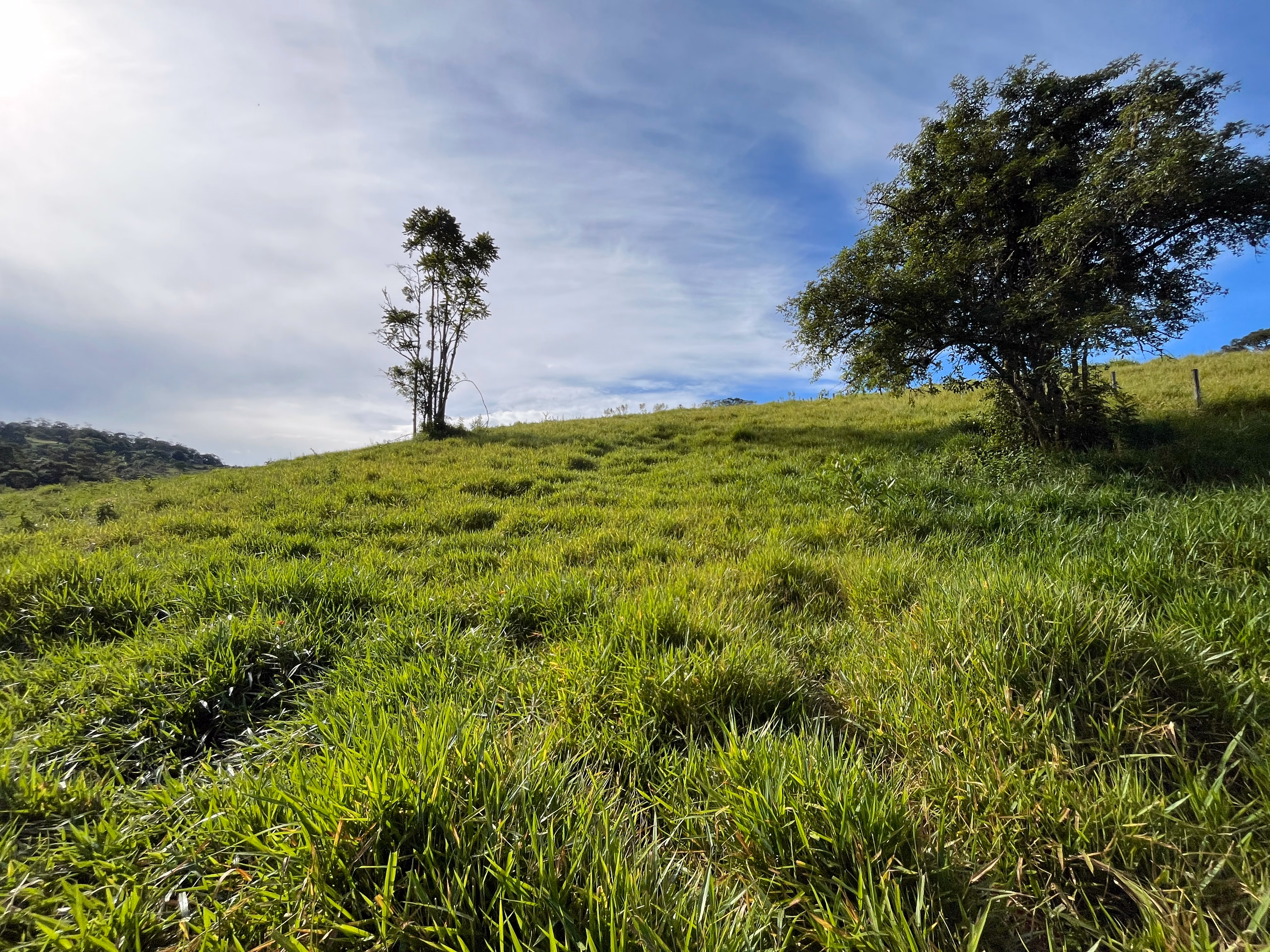 Small farm of 10 acres in Piedade, SP, Brazil